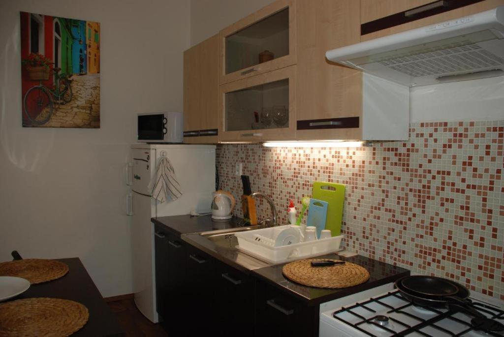 Apartment 5 Min By Walk To The Center ブルノ エクステリア 写真